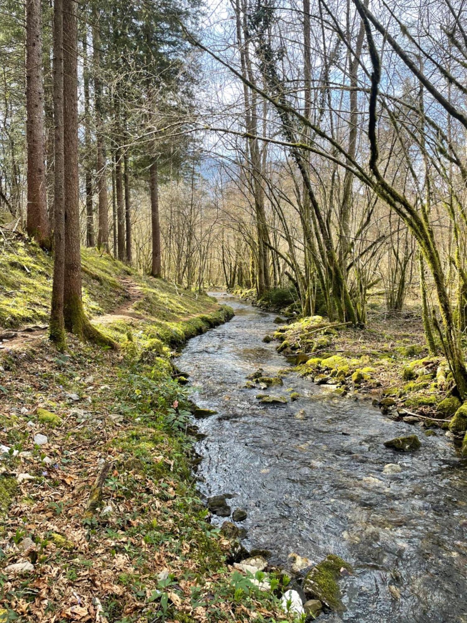Ortighera Monolocale Relax Sulla Ciclabile Lenna Exterior foto